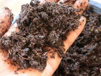 Fertilizer Last in Soil