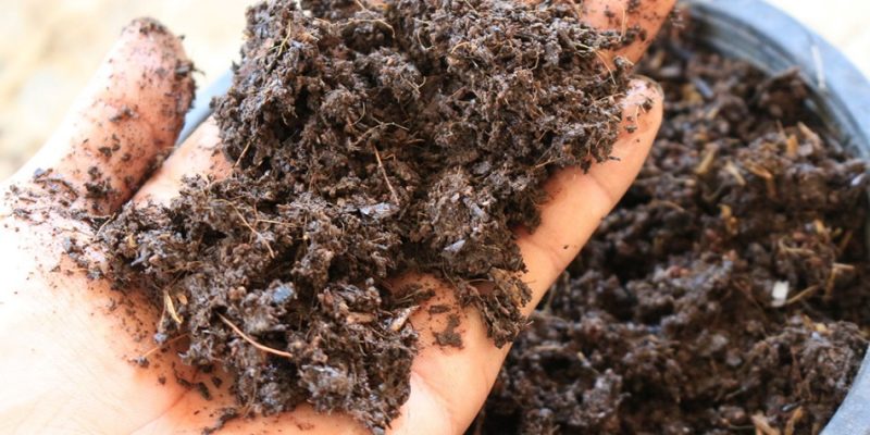 Fertilizer Last in Soil
