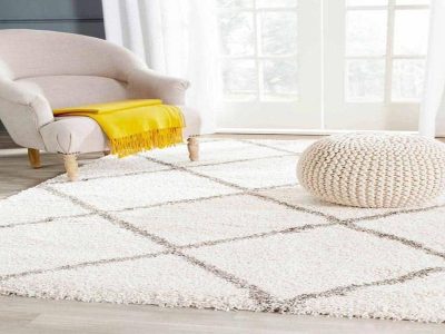 Unleashing the Charm Are Shaggy Rugs the Ultimate Statement Piece for Your Home
